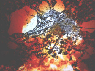 Esplosione nucleare, Fukushima
