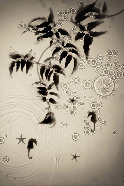 Allan Forsyth, Fade Into Light 003, 2012, photogram, C-Type metallic print, diasec, edition of 10, 118 x 94 cm, courtesy of the artist and Gallery Elena Shchukina