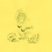 Eti Jacobi, A monkey with yellow fever. Courtesy of Noga Gallery