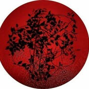 Susan Derges, Holly, 2013, 24" x 24"