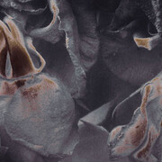 Beyond the World We Know. Courtesy of Norton Simon Museum