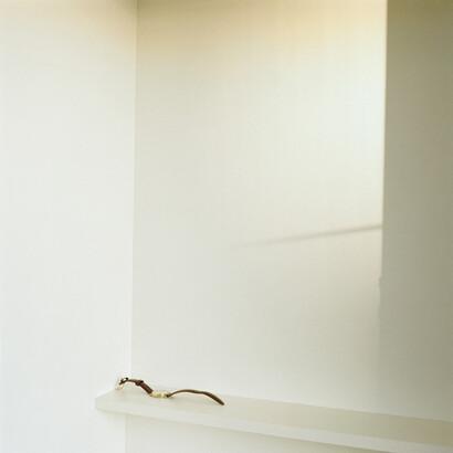 Lydia Goldblatt, Spent Time, 2010-2013, Chromogenic print, 20 x 20 inches, edition of 6