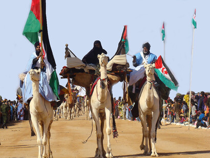 Exhibición de camellos con motivo de la celebración del 40 aniversario de la República Árabe Saharaui Democrática, en 2016