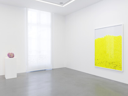 View of the exhibition Chemical Landscape at Perrotin Paris. Photo: Claire Dorn
© Courtesy of the artist & Perrotin