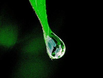 El agua, un bien de todos