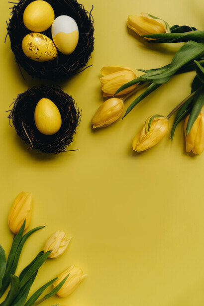 Colori della primavera. La primavera, la stagione della bellezza che si offre generosamente, del risveglio della natura dopo il sonnacchioso periodo invernale