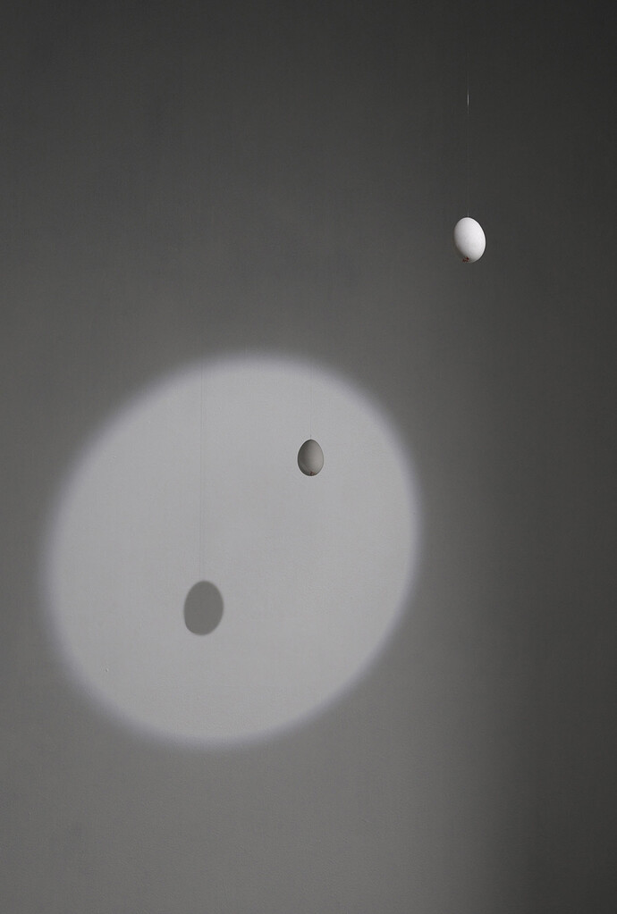 Urs Fischer, Gänseeier Eclipse,
2001-2002,
two goose or chicken eggs, nylon filament, glue, theatre spotlight,
dimensions variable,
edition 1 of 2 + a/p, Copyright the artist, courtesy Sadie Coles, HQ, London
