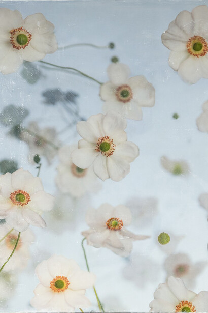 Catherine Erb, Grandview garden club, 2025. Courtesy of Catherine Couturier Gallery