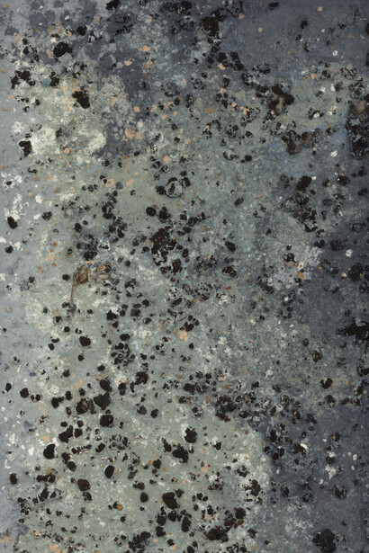 Adebunmi Gbadebo, Blowing through my ears? (detail), 2025. Courtesy of Nicola Vassell Gallery. Photo by Lance Brewer