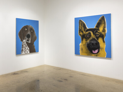 Ricardo Passaporte. Best In Show, installation view. Courtesy of Steve Turner