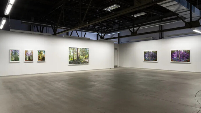 Sarah Anne Johnson, A mountain and a forest, exhibition view. Courtesy of Blouin Division