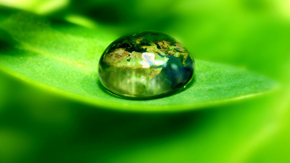 Natura incontaminata