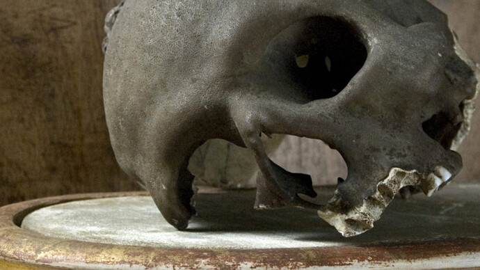 Historical Gallery. Courtesy of Museo di Storia Naturale