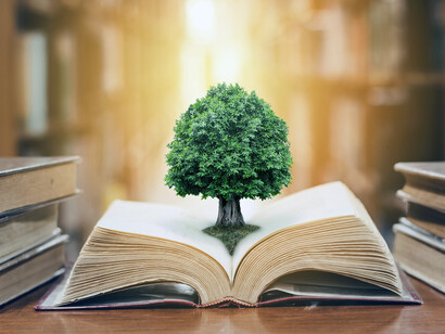 A wide-open book with a tree planted and rooted in the middle of its pages. Knowledge applied is the power, or else, it is a potential power