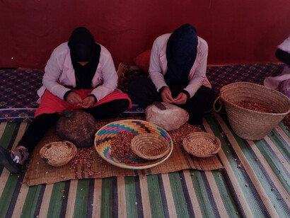 The Argan tree takes its name from the Berber "Argân"