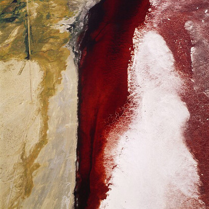 David Maisel. Courtesy of Robischon Gallery