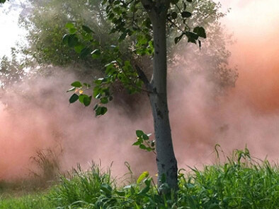 Al Descubierto O A Escondidas. Courtesy of Museu d’Art Contemporani de Barcelona (MACBA)