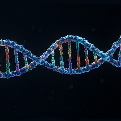Wenn das RAS-Gen jedoch mutiert, bleibt das resultierende Protein im aktivierten Zustand stecken. Dies führt zu unkontrolliertem Zellwachstum, das letztendlich dazu führt, dass die Zellen krebsartig werden. Bild: RAS-Gen