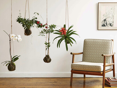 Arredare con i kokedama