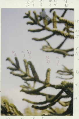 Archives Raoul De Keyser. Courtesy of S.M.A.K.