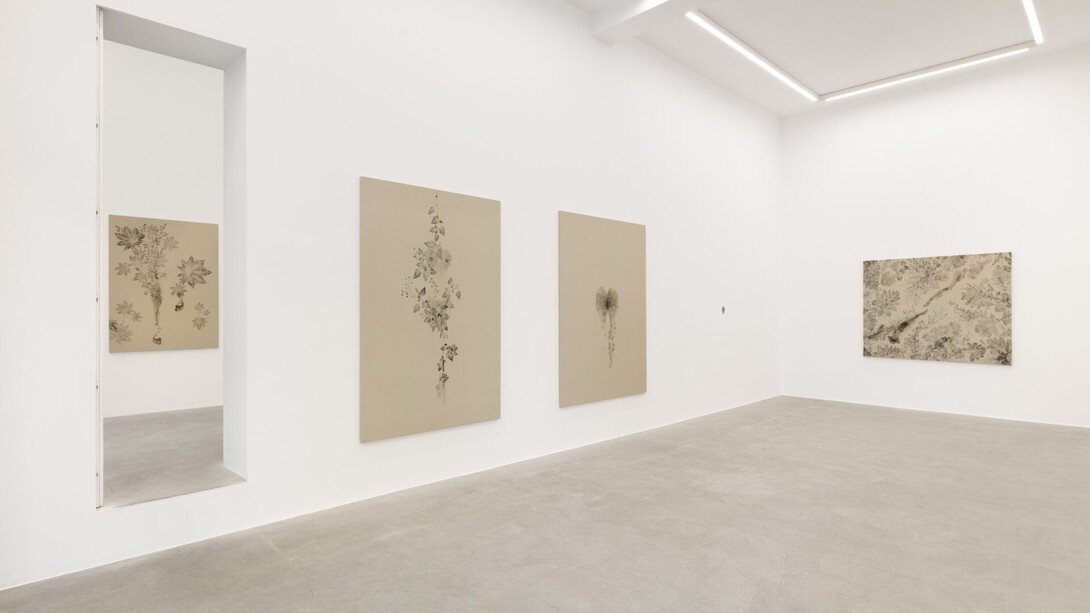 Clarissa Tossin, Piante vagabonde, veduta della mostra. Cortesia di kaufmann repetto