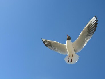Alguns reconhecem cedo o peso da presença. Outros constroem biografias inteiras apoiadas em pactos que nunca cruzam o limite do verbo. Essas trajetórias dispensam julgamento imediato; revelam, com o tempo, apenas aquilo que souberam sustentar. Elas seguem até o instante em que o silêncio à beira da água se impõe como forma de compreensão
