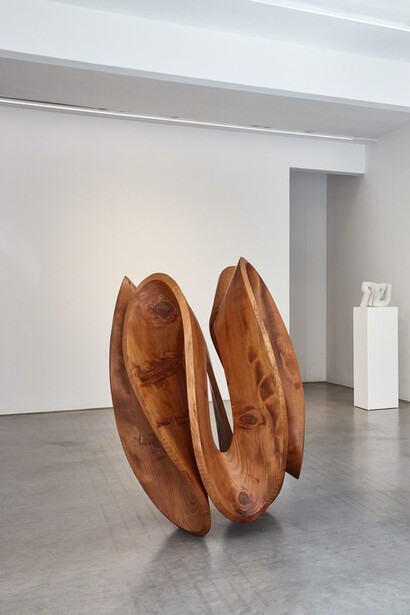 Gianpietro Carlesso. Courtesy of Ronchini Gallery