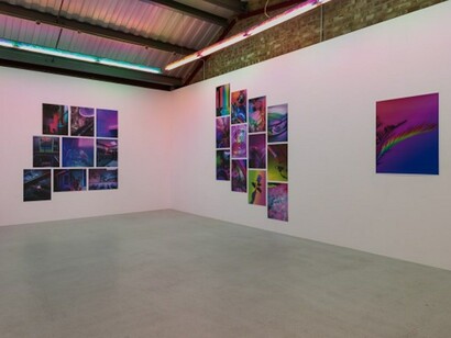 Faux Realities, Exhibition view. Courtesy of Annka Kultys Gallery