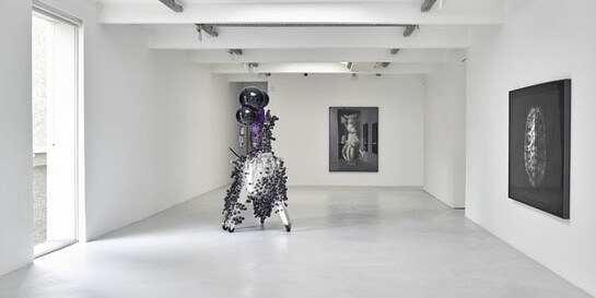 Thomas Feuerstein, Exhibition view. Courtesy of Galerie Elisabeth & Klaus Thoman