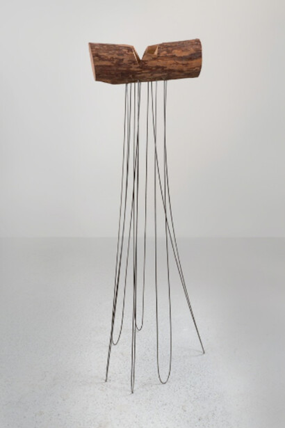 Alison Wilding. Courtesy of Offer Waterman