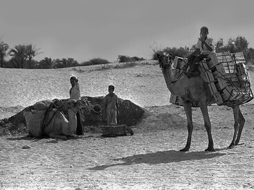 Colección de Dan Hadani: beduinos en Sinaí, 1969. Egipto