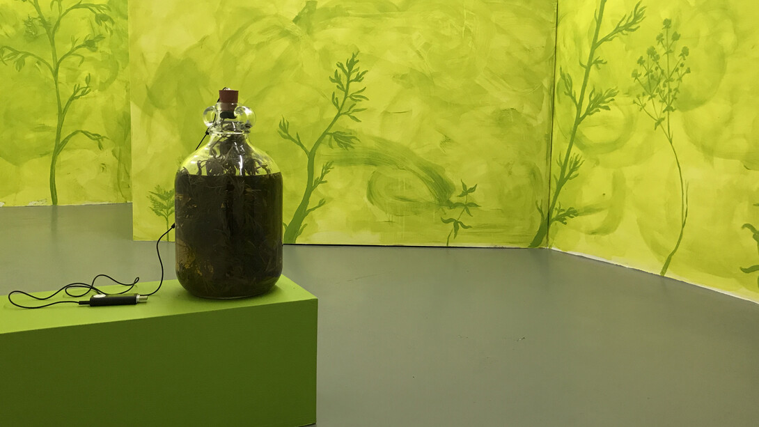 Traddutore, Traditore (a new translation) 2014-7 First maceration of absinthe with glass demijohn, vodka, grand wormwood, green anise, sweet fennel, coriander seed, lemon verbena, star anise, hyssop, fennel seed, sage, altered rubber bung with headphone speakers, mp3 player and recording of Skeeter Davis' 'The End of The World'.