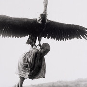 Felipe Manterola, Untitled (Composition of vulture with child). Courtesy of Museo Bellas Artes de Bilbao 