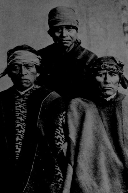 Die Mapuche