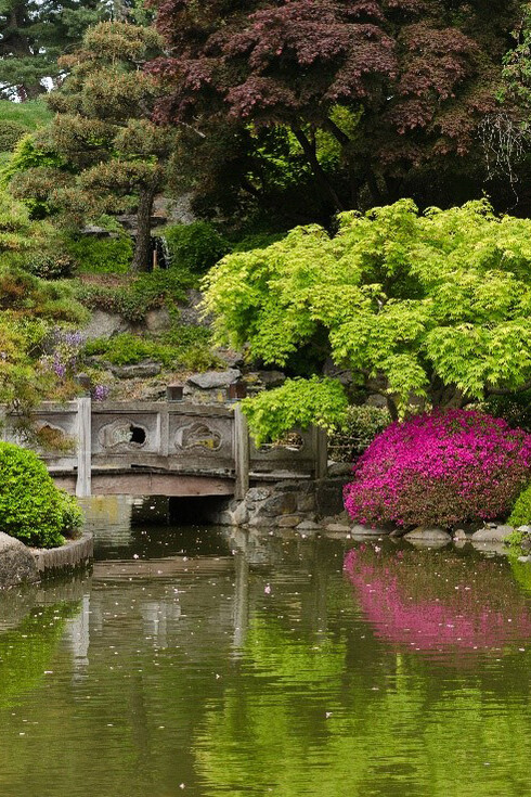 Giardini nascosti