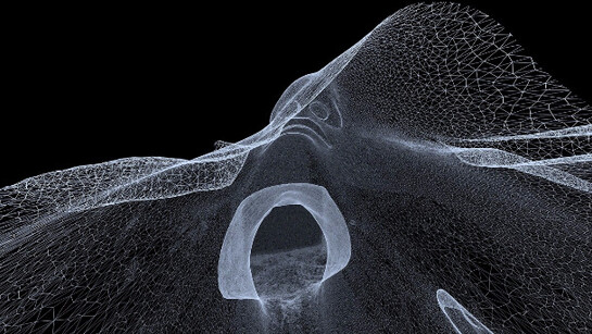 Not A Single Bone. Courtesy of Nome