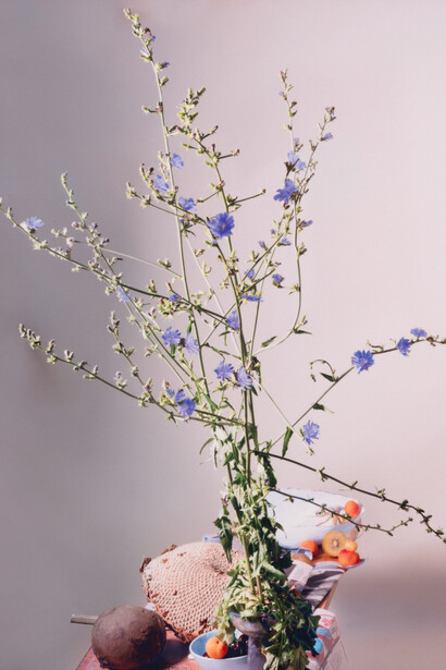 Laura Letinsky, Free shopping beat, 2023  Courtesy of Document Gallery