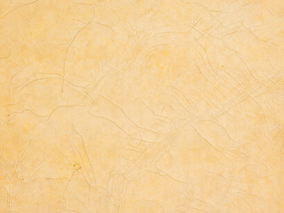 Alex Hay
Sun Print
1968
latex pigment on filter paper
29 x 29 inches
(73.7 x 73.7 cm). Detail. Images courtesy the artist and Peter Freeman, Inc