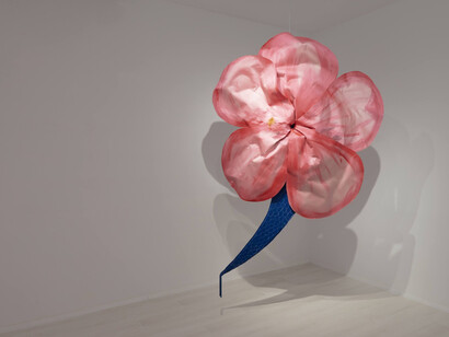 Gema Polanco, Amor mira como vivo, vista de exhibición. Cortesía de Galería Moisés Pérez de Albéniz