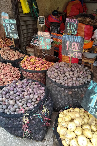 Variedades de papa a la venta en el Mercado Modelo de Huancayo, Perú