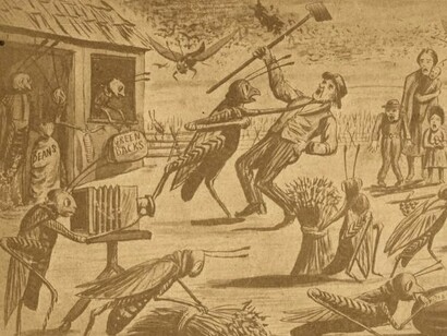 Ilustración que refleja una plaga de langosta e Kansas, 1874