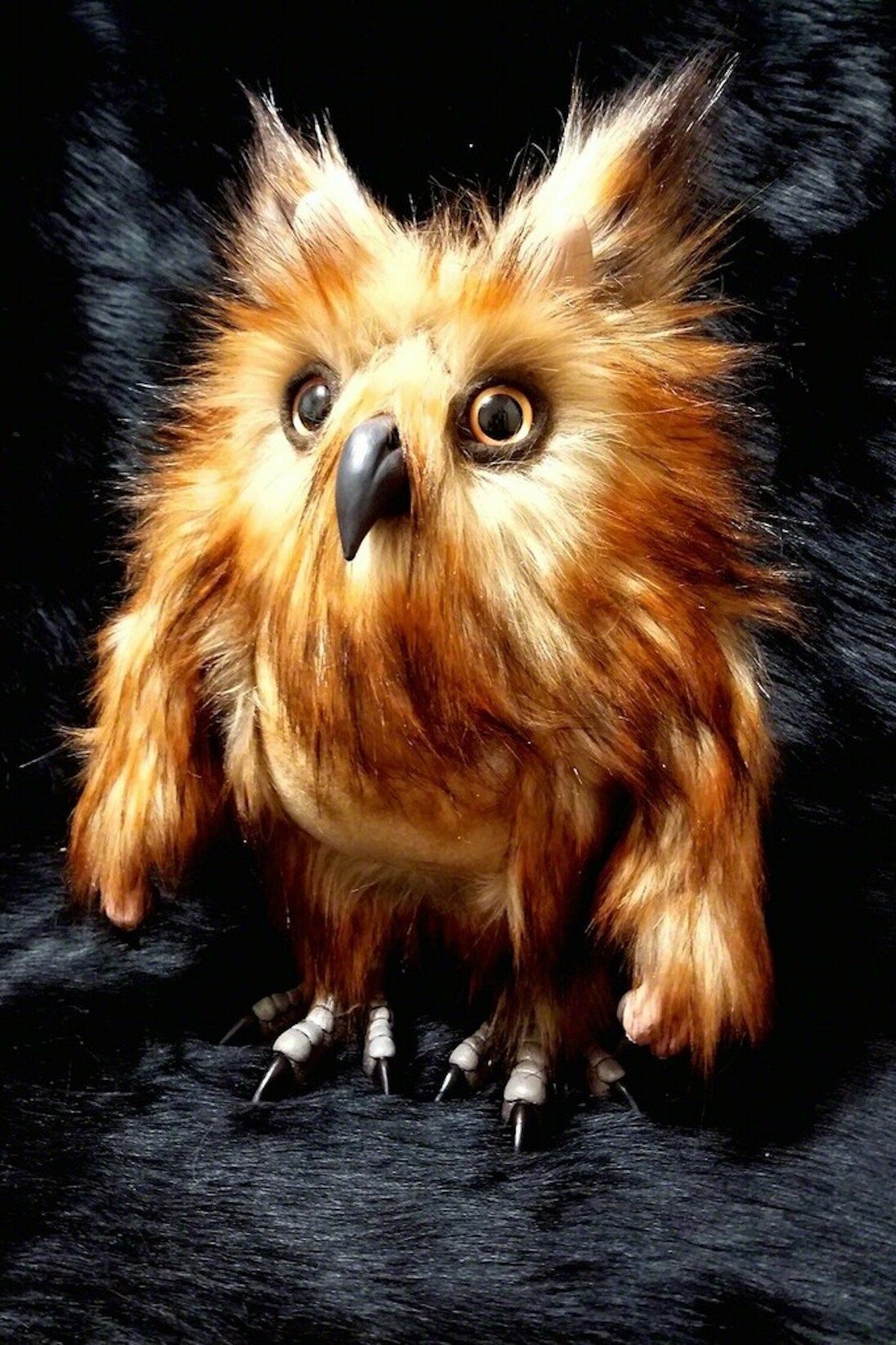 Adventure Awaits. Courtesy of Flower Pepper Gallery