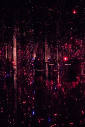 Yayoi Kusama. Courtesy of Phoenix Art Museum