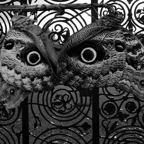 Nicky Coutts, 'Mimics' series 1, 2015, photo etching 2