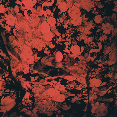 Carlo Benvenuto, Senza titolo, 2013, C-print, 75 x 75 cm, Courtesy the artist and Sprovieri, London