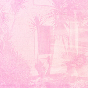 Women Tel Rumeida, Barbara Debeuckelaere, from ‘Om/Mother, 2023-24. Avec l’aimable autorisation du FOMU