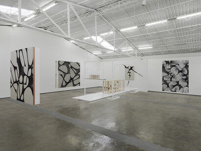 Martín Soto Climent - Everything begins somewhere else Installation view at Proyectos Monclova, Mexico City 2018 Courtesy of the artist and Proyectos Monclova
Photo: Ramiro Chaves