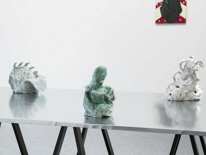 Penis Mushroom, Exhibition view. Courtesy of The Rooster Gallery