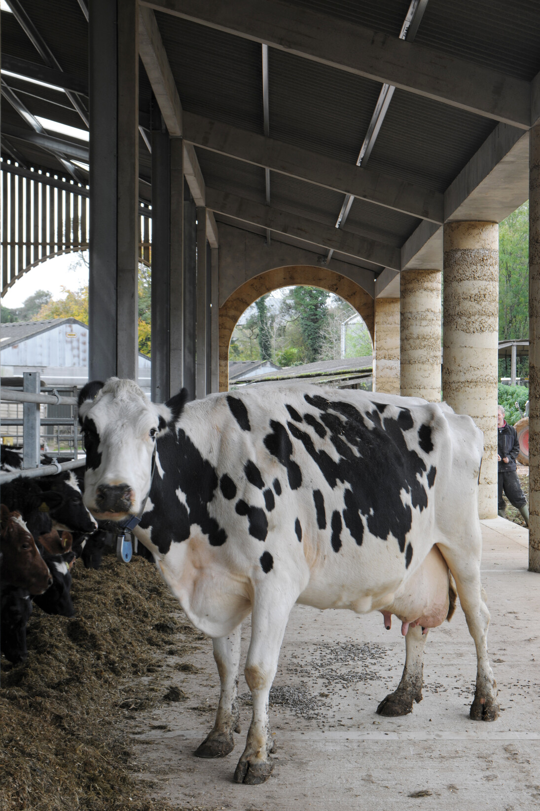 Cowshed in Somerset by Stephen Taylor Architects (c) David Grandorge