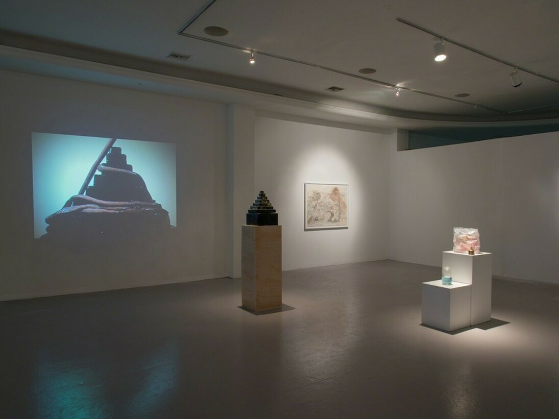 The Ecstasy of Mary Shelley, Exhibition view. Courtesy of Los Angeles Contemporary Exhibitions
